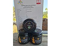 KESTANE BALI ORGANIK BELGELİ