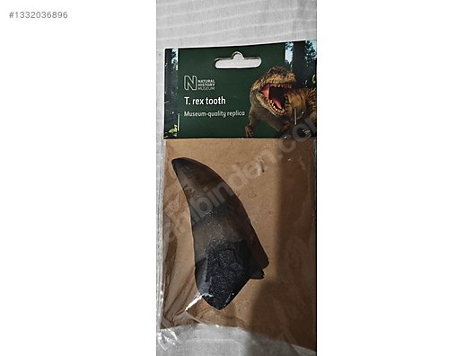 Natural History T.Rex Dişi Replika Koleksiyonluk sahibinden.comda