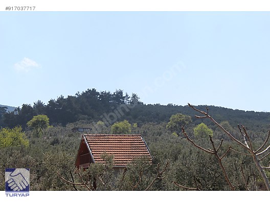 bursa mudanya tirilye talatbey de satilik tarla satilik arsa ilanlari sahibinden com da 917037717 bursa mudanya tirilye talatbey de satilik tarla satilik arsa ilanlari sahibinden com da 917037717