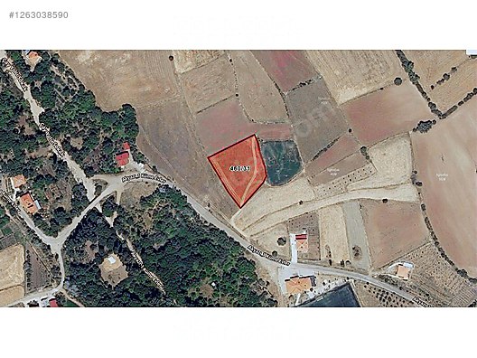 KARADENİZ EMLAKTAN YAPRAKLI AŞAĞI DA SATILIK TARLA #1263038590