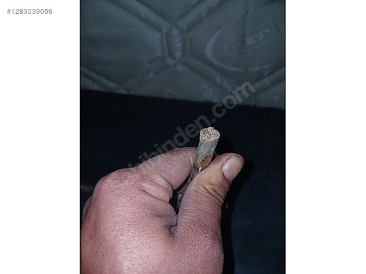 İkinci El ve Sıfır Alışveriş / Bahçe & Yapı Market / Toplu Satış