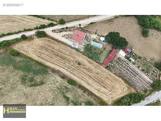 Sinop Ahmetyeri Satılık Arazi #1265039317