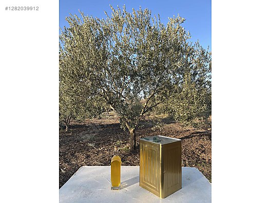 İkinci El ve Sıfır Alışveriş / Yiyecek & İçecek / Şarküteri / Zeytinyağı