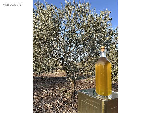 İkinci El ve Sıfır Alışveriş / Yiyecek & İçecek / Şarküteri / Zeytinyağı