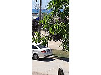 apzh3htsjcja0m