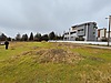 YALOVA TERMAL YENİMAHALLE KÖYÜ ANAYOLA CEPHELİ KÖŞE PARSEL ARSA