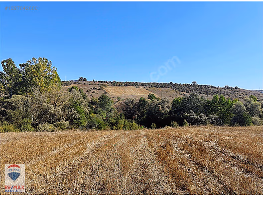 REMAX SONER'DEN KAVAK MERKEZDE İMARA SINIR SATILIK TARLA #1287042000