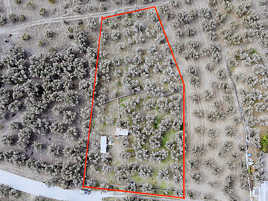 MUDANYA - AYDINPINAR MAHALLESİNDE YATIRIMLIK SATILIK ARAZİ #1277043161