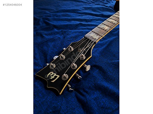LTD Elektro Gitar
