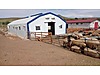 Pets & Livestock / Accessories / Poultry & Fowl / Cage & Coop
