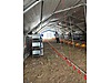 Pets & Livestock / Accessories / Poultry & Fowl / Cage & Coop