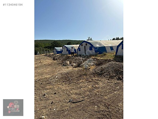 Pets & Livestock / Accessories / Poultry & Fowl / Cage & Coop