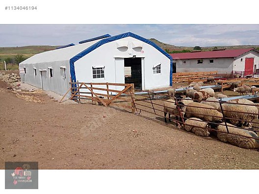 Pets & Livestock / Accessories / Poultry & Fowl / Cage & Coop