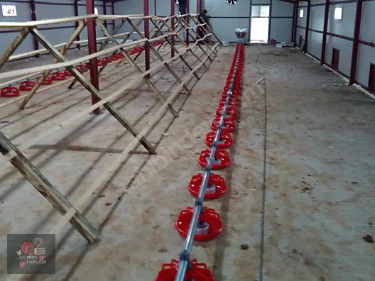 Pets & Livestock / Accessories / Poultry & Fowl / Cage & Coop