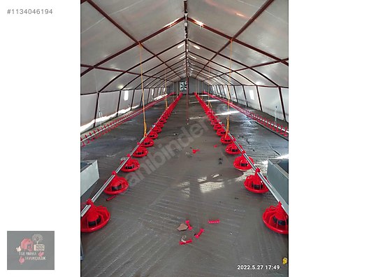 Pets & Livestock / Accessories / Poultry & Fowl / Cage & Coop