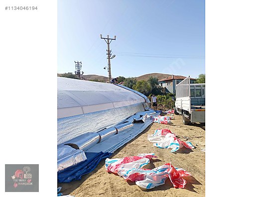 Pets & Livestock / Accessories / Poultry & Fowl / Cage & Coop