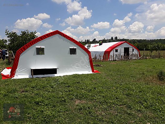 Pets & Livestock / Accessories / Poultry & Fowl / Cage & Coop