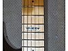 LTD Elektro Gitar