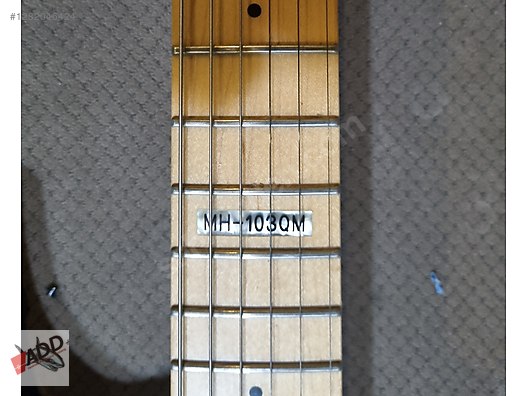 LTD Elektro Gitar