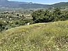 KEMALPAŞA CUMALİ KÖYÜNDE SATILIK 2790 m2 TARLA