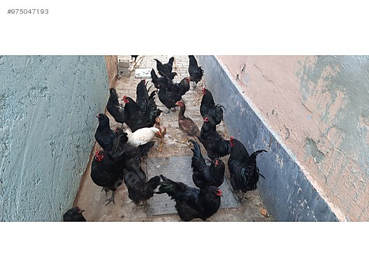 Jaxuxyejkj9sxm Jaxuxyejkj9sxm