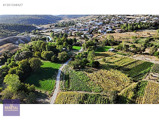 MUDANYA YÖRÜKYENİCESİNDE YOLU VE SUYU OLAN 1.965 m² FIRSAT ARAZİ