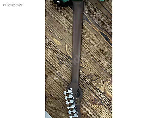 Schecter Elektro Gitar