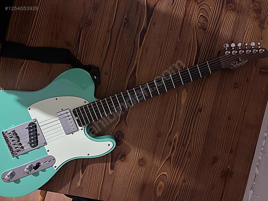 Schecter Elektro Gitar