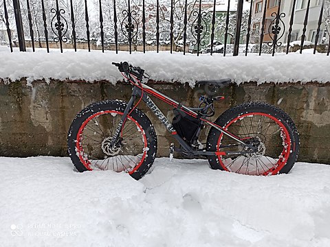 carraro buffalo fat bike