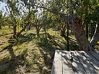 Nigde Satilik Arsa Ilanlari Ve Fiyatlari Sahibinden Com Da