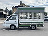 Hyundai H