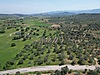 BURHANİYE'DE AĞACIK'TA ASVALT YOLA CEPHE 6.300 m2 ZEYTİNLİK