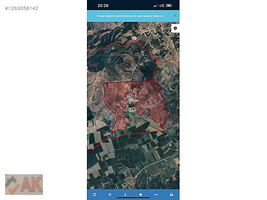 İzmir Tire Hasan Çavuşlarda 25.569m2 Satılık Zeytinlik #1263058142