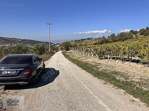 UMURBEY DE ASFALT CEPHELİ BİR KISMI İMARLI 1500m2...