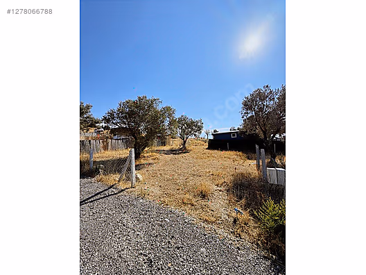 satilik 300 m2 satilik Kooperatif hisseli arsa #1278066788