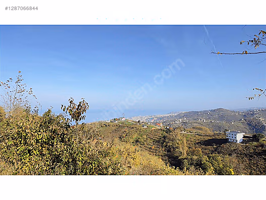 TRABZON AKYAZIDA FIRSAT ARSA #1287066844