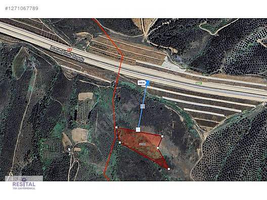 KARACABEY KARAKOCA DA SATILIK TARLA FIRSAT