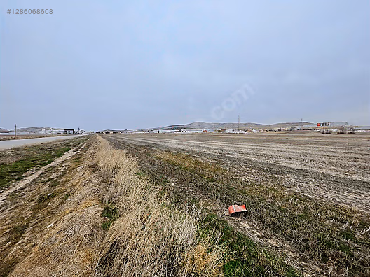 TOPRAK EMLAKTAN FIRSAT ARAZİ SUSUZ SAKARYA 33.149 m2 #1286068608