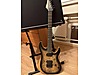 Schecter Elektro Gitar