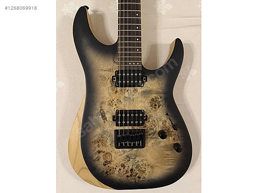 Schecter Elektro Gitar