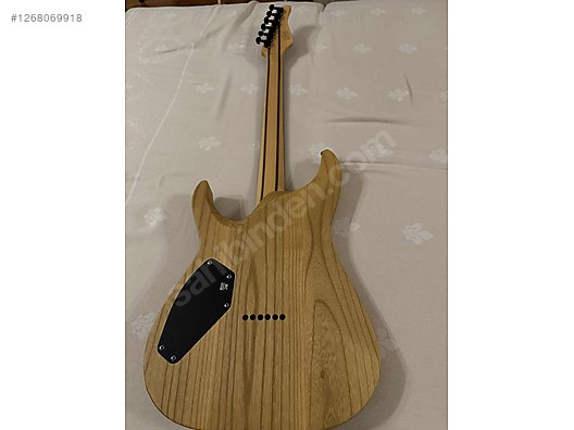 Schecter Elektro Gitar