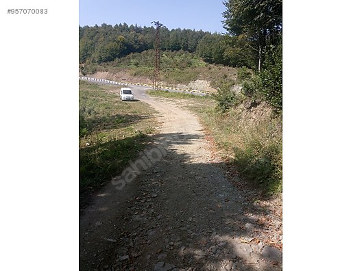 eregli zonguldak karayoluna cok yakin arsa satilik arsa ilanlari sahibinden com da 957070083