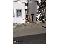 Gumbet Mh Kiralik Daire Fiyatlari Ve Kiralik Ev Ilanlari Sahibinden Com