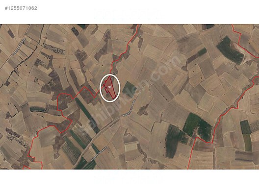 Afyonkarahisar, Dinar, Satılık Tarla...