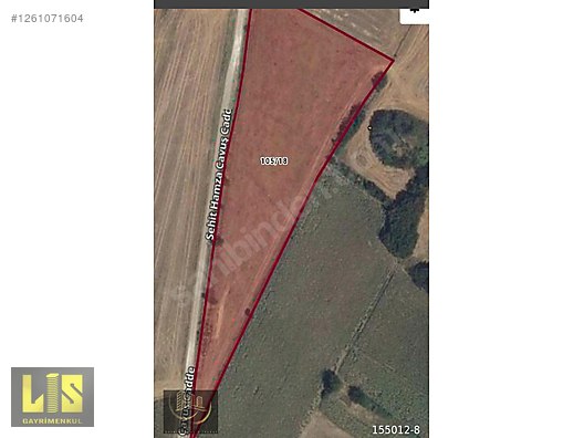 Tekirdağ Ergene Paşaköyde İmara Yakın Satılık 1.229 m² Arsa #1261071604