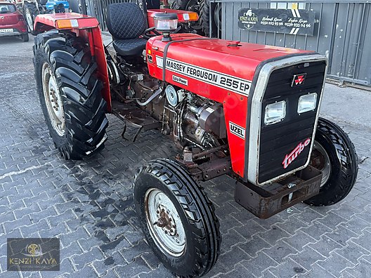 1999 255 EP Massey Ferguson
