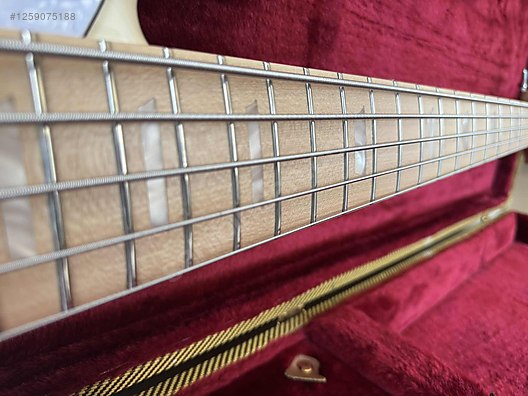 İkinci El ve Sıfır Alışveriş / Müzik / Müzik Aletleri / Telli Çalgılar / Gitar / Bas