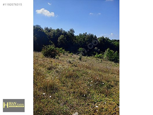 Sinop Erfelek Gümüşsuyu Satılık Tarla #1192076315