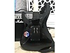 LTD Elektro Gitar