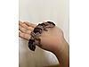 Pets & Livestock / Reptiles / Lizards